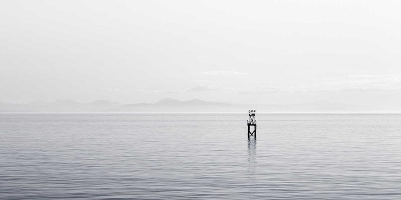 从东京到京都：追寻安藤忠雄与隈研吾的自然建筑哲学之旅