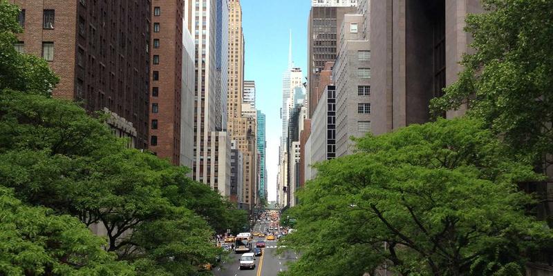 从东京到北海道：穿越日本极致的都市繁华与自然秘境