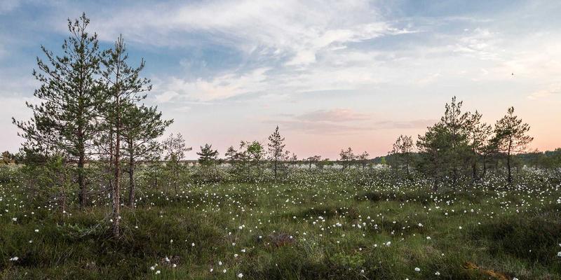 从秋叶原到北海道:一场融合美食、景点与二次元的日本动漫圣地巡礼