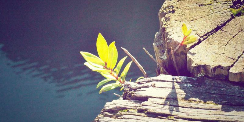 穿越千年的和风色谱：从平安贵族袭色目到东京大阪现代设计的色彩哲学